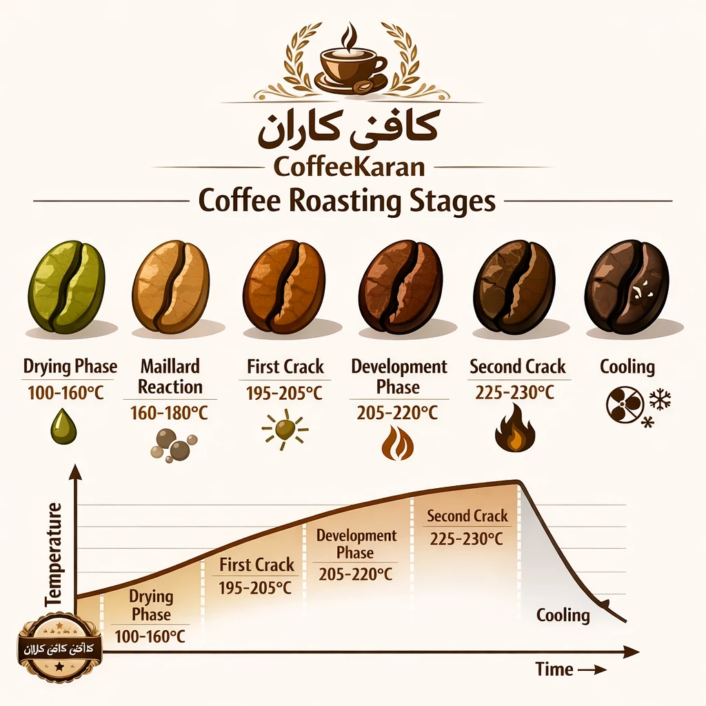 مراحل برشته‌کاری قهوه (Coffee Roasting)